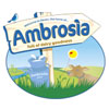 ambrosia